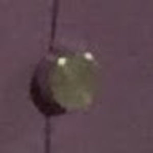 Meet your Posher, Raphael